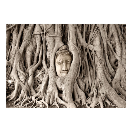 Fototapet Buddha's Tree-01
