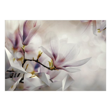 Fototapet Subtle Magnolias First Variant-01