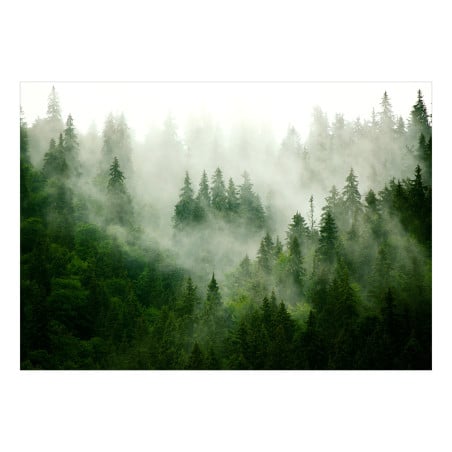 Fototapet Mountain Forest (Green)-01