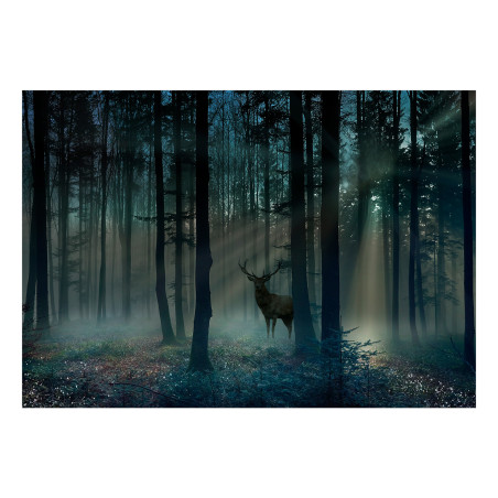 Fototapet Mystical Forest Third Variant-01