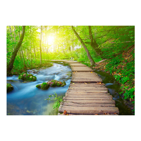 Fototapet autoadeziv Green forest
