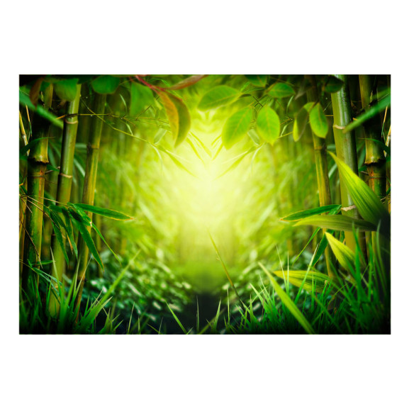 Fototapet autoadeziv Forest fairy