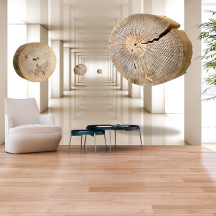 Fototapet autoadeziv Flying Discs of Wood