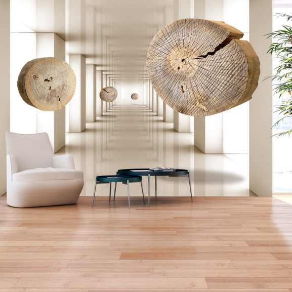 Poze Fototapet autoadeziv Flying Discs of Wood