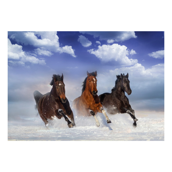 Fototapet autoadeziv Horses in the Snow