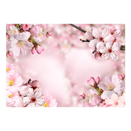 Fototapet autoadeziv Spring Cherry Blossom-01