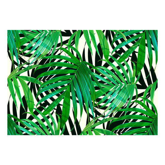 Fototapet autoadeziv Tropical Leaves