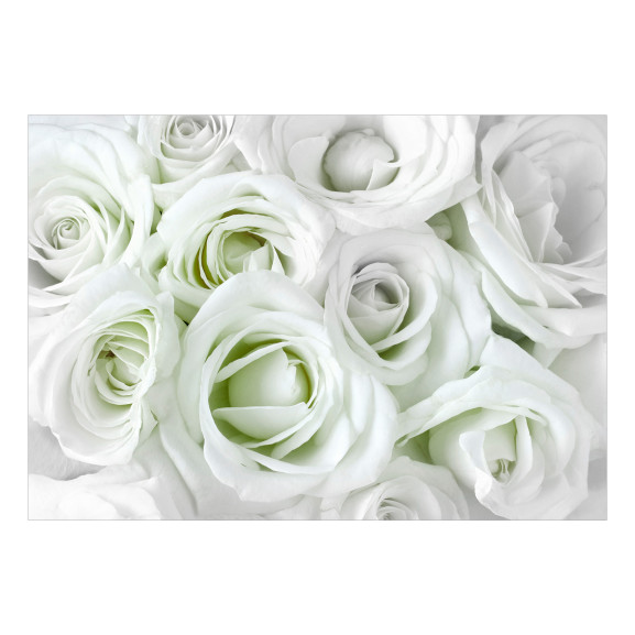 Fototapet autoadeziv Satin Rose (Green)