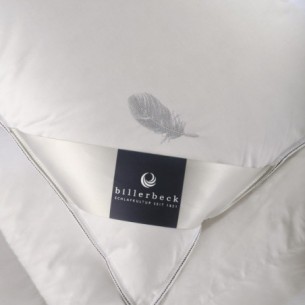 Perna Billerbeck Virgin - Satin Sandwich, 500 x 700 mm.