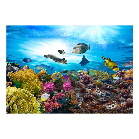 Fototapet autoadeziv Coral reef-01