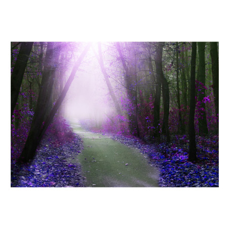 Fototapet autoadeziv Purple path-01
