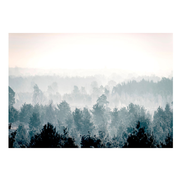 Fototapet autoadeziv Winter Forest