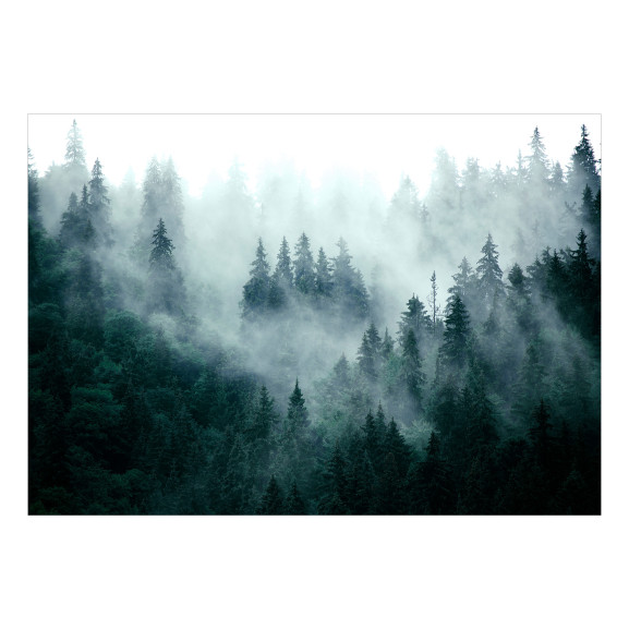 Fototapet autoadeziv Mountain Forest (Dark Green)