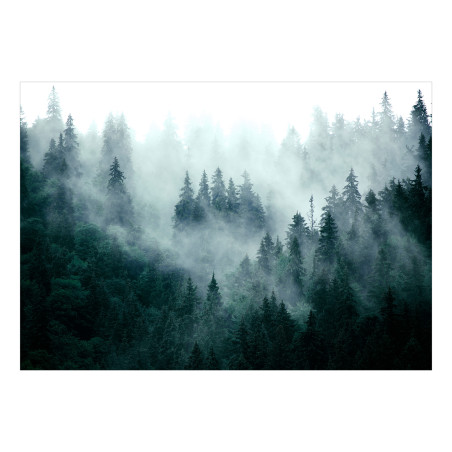 Fototapet autoadeziv Mountain Forest (Dark Green)-01