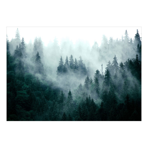 Fototapet autoadeziv Mountain Forest (Dark Green)