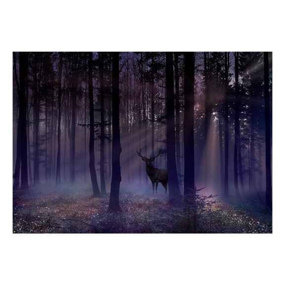 Fototapet autoadeziv Mystical Forest Second Variant