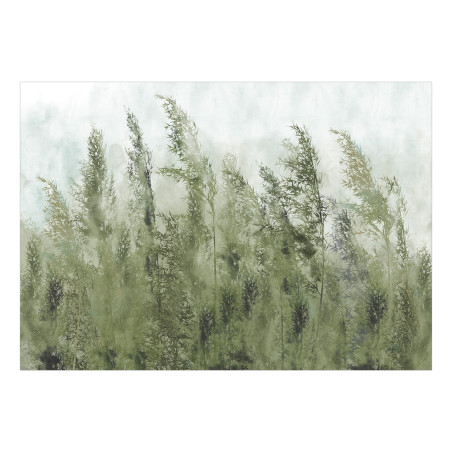 Fototapet autoadeziv Tall Grasses Green-01