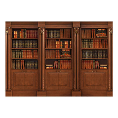 Fototapet autoadeziv Elegant Library-01