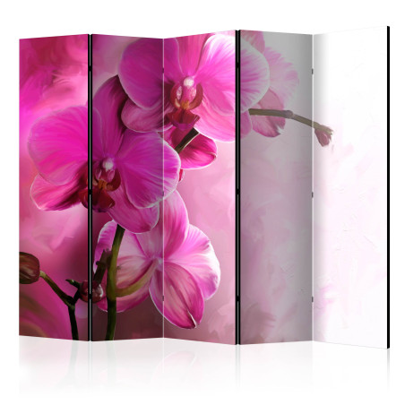 Paravan Pink Orchid II 225 x 172 cm-01