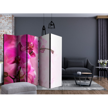 Paravan Pink Orchid II 225 x 172 cm-01