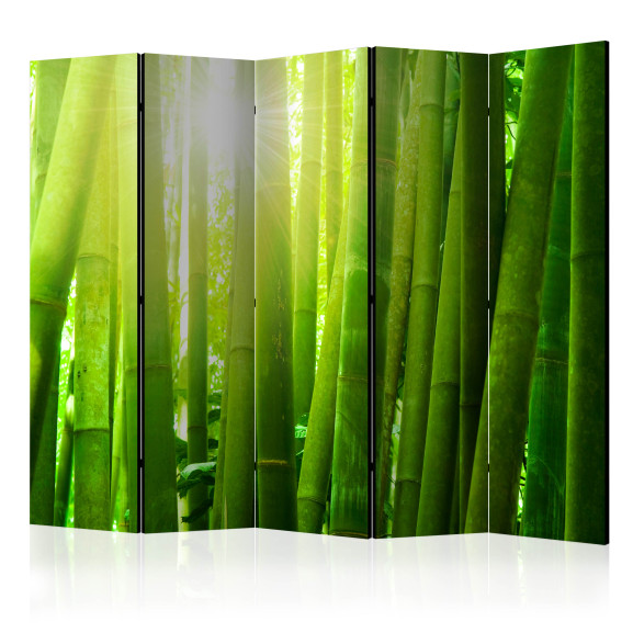 Paravan Sun and bamboo II [Room Dividers]