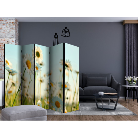 Paravan Daisies spring meadow II 225 x 172 cm-01