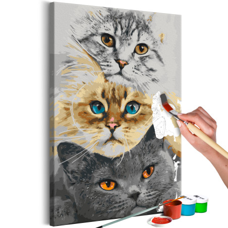 Pictatul pentru recreere Cat's Trio 40 x 60 cm-01