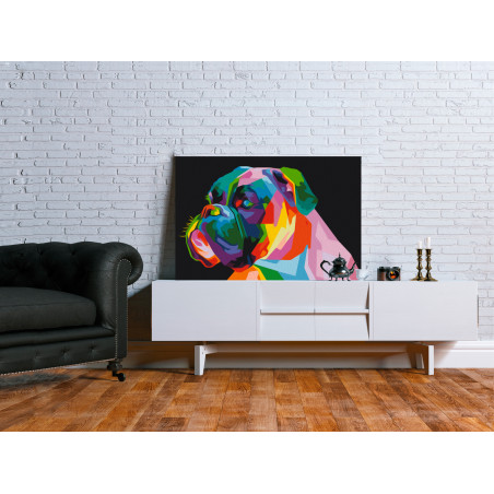 Pictatul pentru recreere Colourful Boxer 60 x 40 cm-01