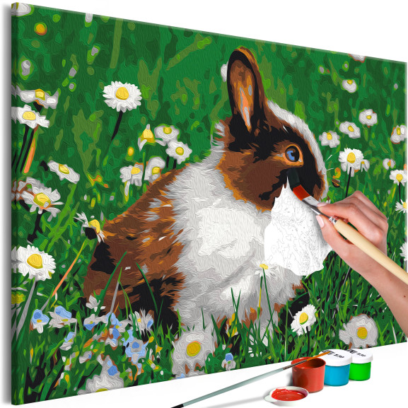 Pictatul pentru recreere Rabbit in the Meadow 60 x 40 cm