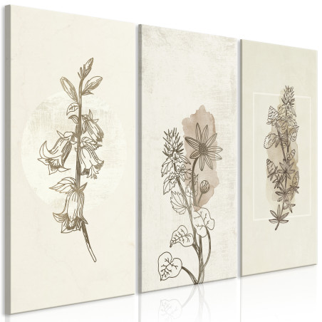 Tablou Herbarium (3 Parts) 90 x 60 cm-01