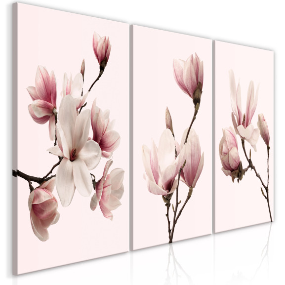 Tablou Spring Magnolias (3 Parts) 60 x 30 cm