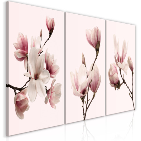Tablou Spring Magnolias (3 Parts) 60 x 30 cm-01