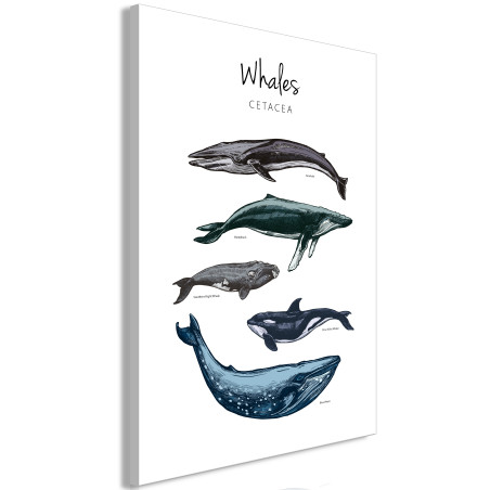Tablou Whales (1 Part) Vertical 40 x 60 cm-01
