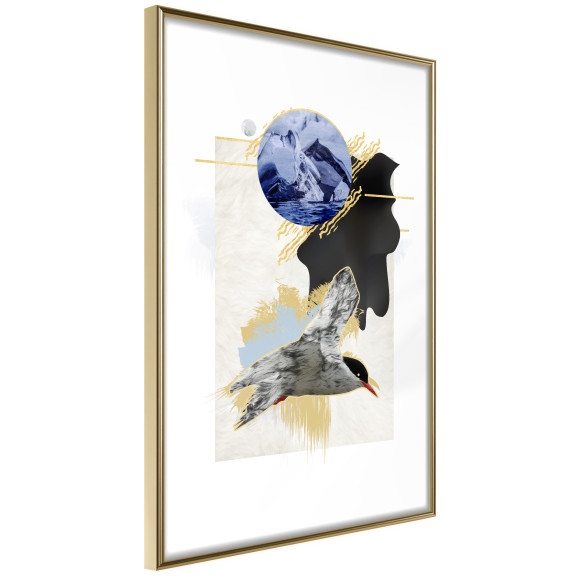 Poster Abstraction with a Tern