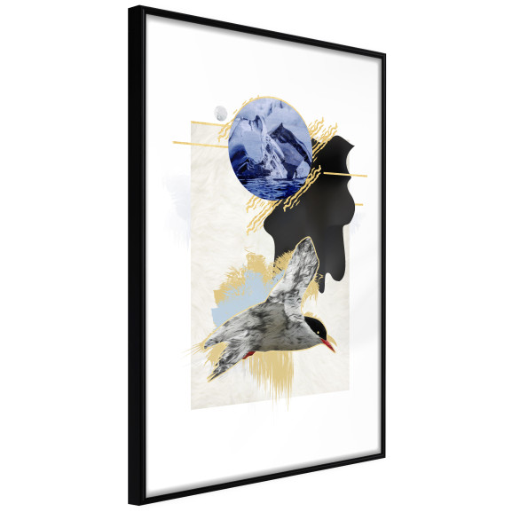 Poster Abstraction with a Tern