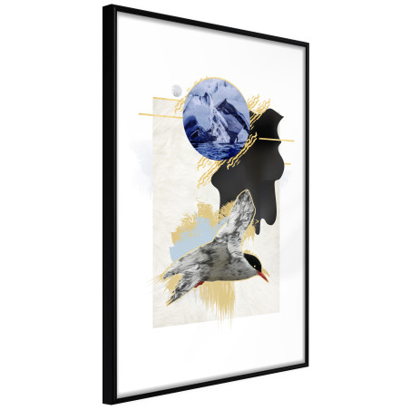 Poster Abstraction with a Tern-01