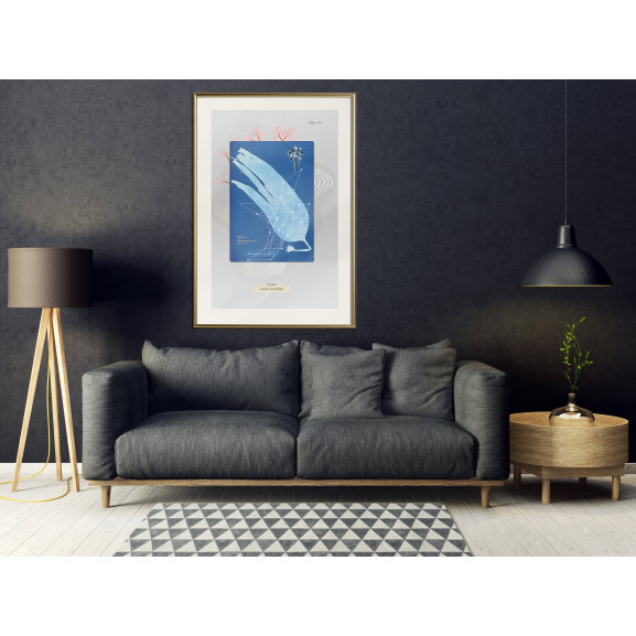 Poster Alga Cyanotype