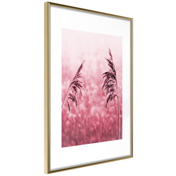 Poster Amaranth Meadow