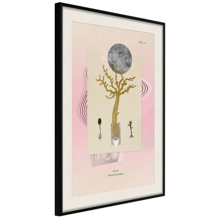 Poster Aquatic Plant-01