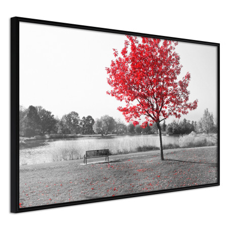 Poster Autumn Colours I-01