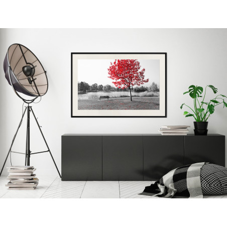 Poster Autumn Colours I-01