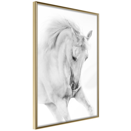 Poster Beauty in Motion-01