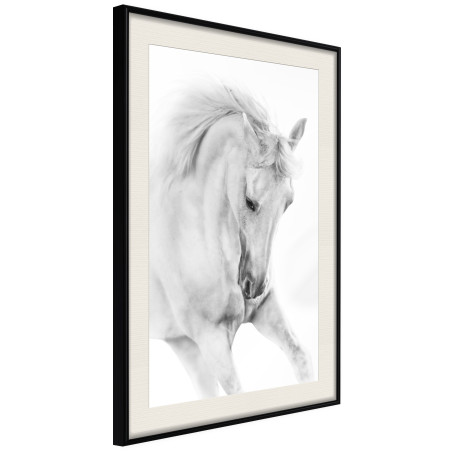 Poster Beauty in Motion-01