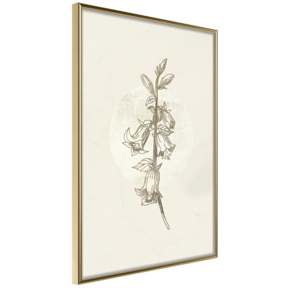 Poster Beige Campanula