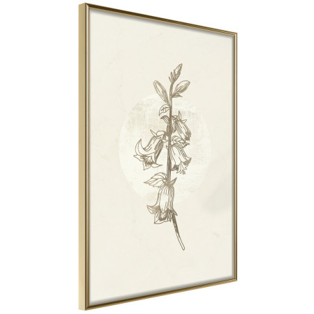 Poster Beige Campanula-01