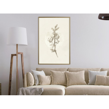 Poster Beige Campanula-01