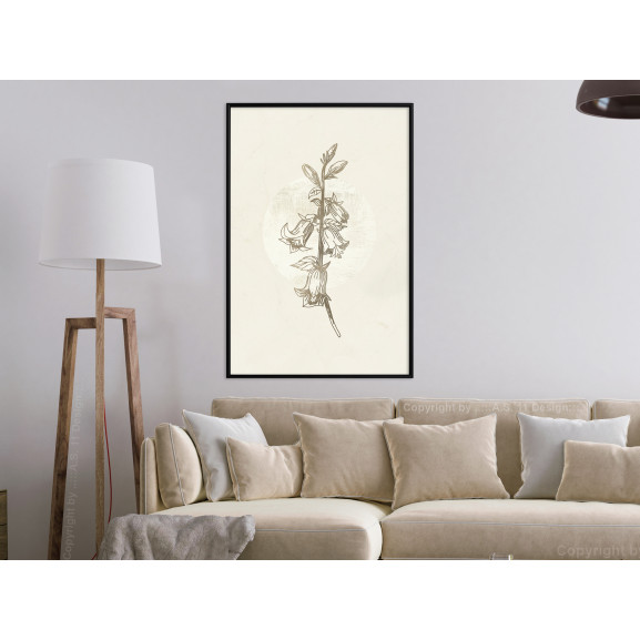 Poster Beige Campanula