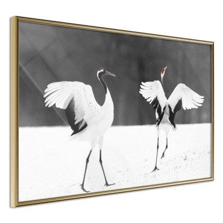 Poster Bird Date-01