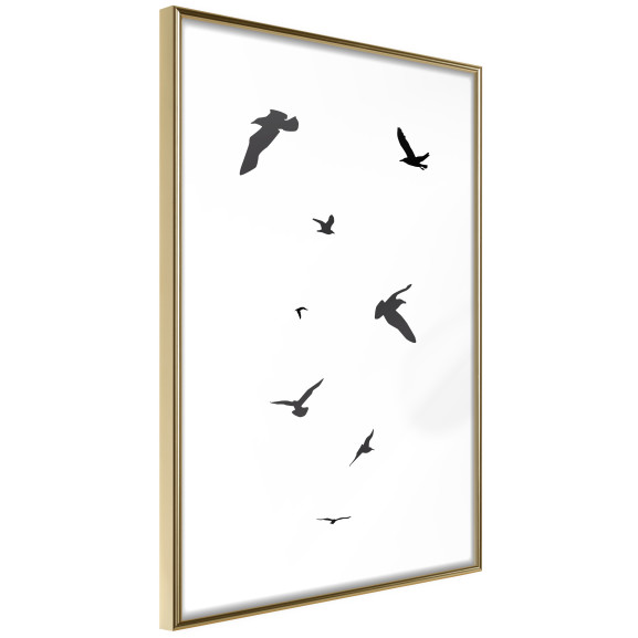Poster Birds