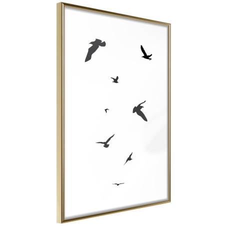 Poster Birds-01